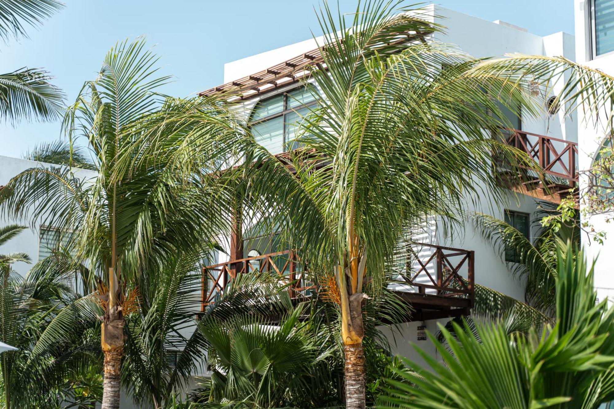 Villas Amanecer By Andiani Travel Isla Mujeres Bagian luar foto
